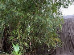 -三亚海棠湾南田温泉神龙谷