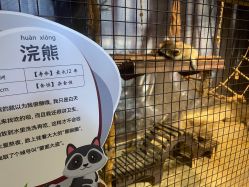 -酷嗒动物文化乐园(cutezoo西溪乐天城店)