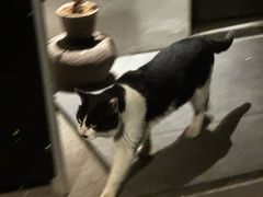 -青桃餐厅