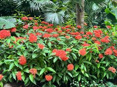 -曼听御花园