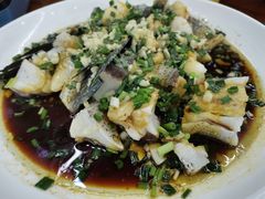 -全乐鱼馆·淳牌有机鱼直营店