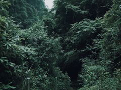 -龙窝子