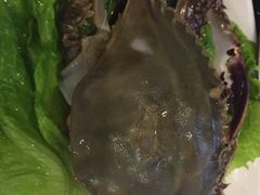 梭子蟹-吉友粥底火锅(方斜路店)