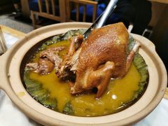 掌柜老汤手撕烧鸡-掌柜的店·河南菜(新天地店)