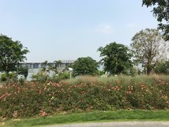 -海堤纪念公园