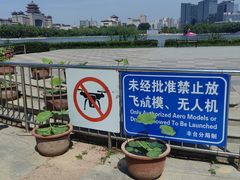 -莲花池公园