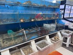 -宾朋海鲜特色美食餐厅·纯手工鲅鱼水饺(兴海路店)