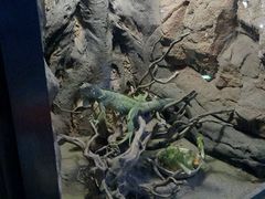 -洛阳龙门海洋馆