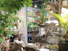 -自由生长植物工作室(深港花卉中心店)