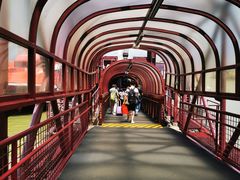 -澳门外港客运码头(轮渡站)