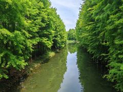 -虎丘湿地公园