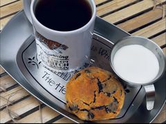 -又一春 Spring Garden