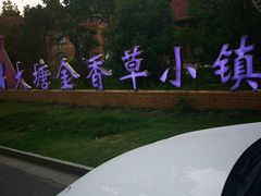 -大塘金香草谷