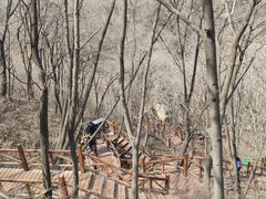 -大岭沟猕猴桃谷风景区