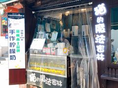 -猫的魔法密林(衣裳街店)