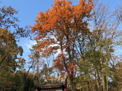 -玉女潭景区