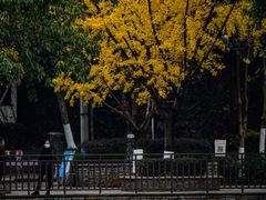 -重庆彩云湖湿地公园