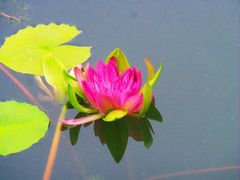 -国家植物园南园