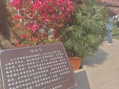 -红螺寺