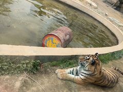 -泉城欧乐堡海洋极地世界