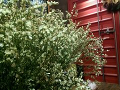 android_upload_pic-MIKAKU(万达广场上海宝山店)