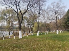 -九里河湿地公园