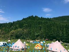 -武陵山森林公园