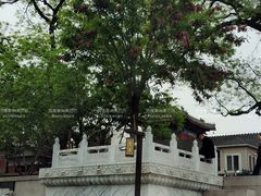 -皇家御河游(紫御湾码头)