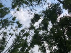 -东部华侨城