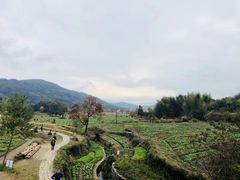 -塔川景区