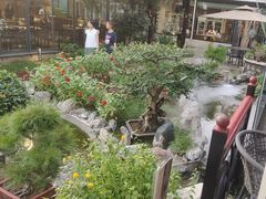 -蘇河湾·新鲁菜·泰山宴(泰山店)