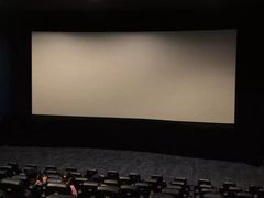 -AMG海上明珠影城(上海环球港RealDCinema店)