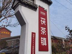-茯茶镇