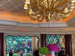 -拉斯维加斯永利酒店