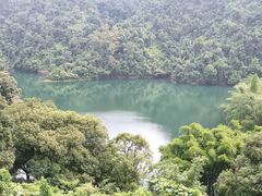 -鼎湖山风景区