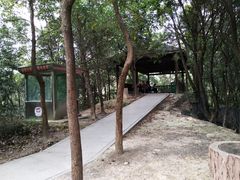 -银瓶嘴森林公园