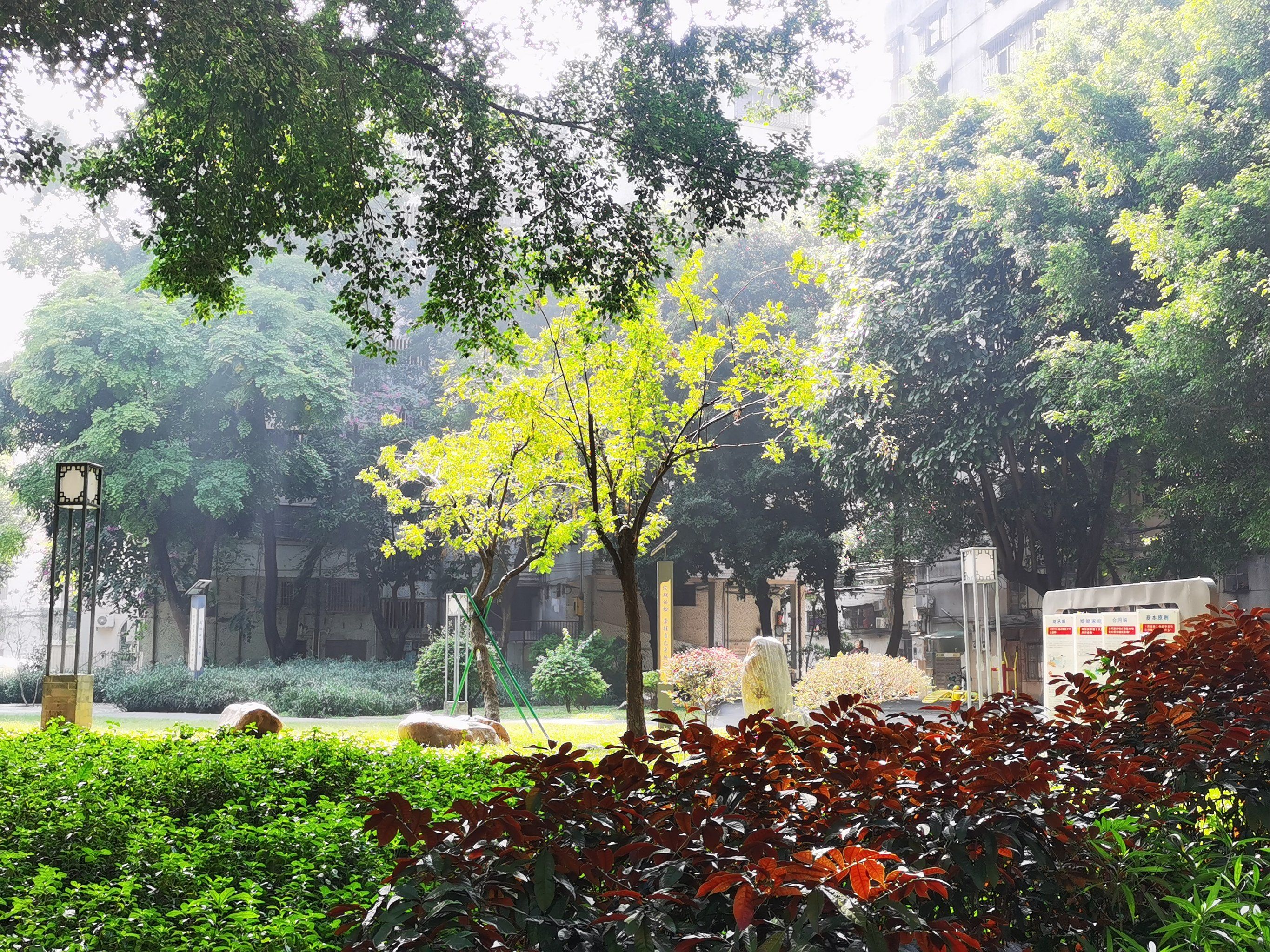 佛山禅城兆祥公园