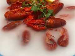 -杨氏青龙虾·羊蝎子(珠江路店)