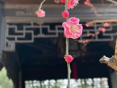 -惠山古镇·寄畅园