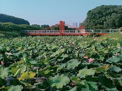 -雪浪山卡丁车俱乐部