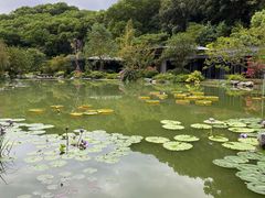 -云溪植物园