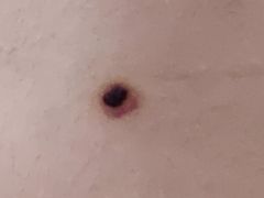 -浙江大学医学院附属第二医院(解放路院区)