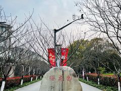 -高东镇樱花园