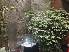 -山水雅居·江南雅宴(运河公园店)
