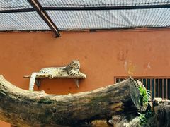 -青藏高原野生动物园