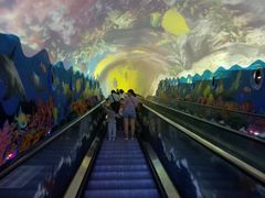 -成都浩海立方海洋公园