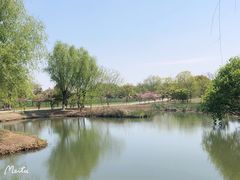 -梁鸿国家湿地公园