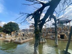 景点-大理地热国