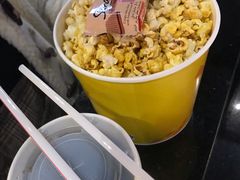 -SFC上影百联影城(川沙IMAX店)