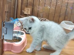 -龟与熊猫宠物公园(南坪店)